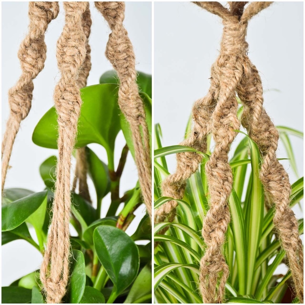 LAST ONE! Macrame Jute Rope Hanging Plant Hanger - Picture 3 of 4